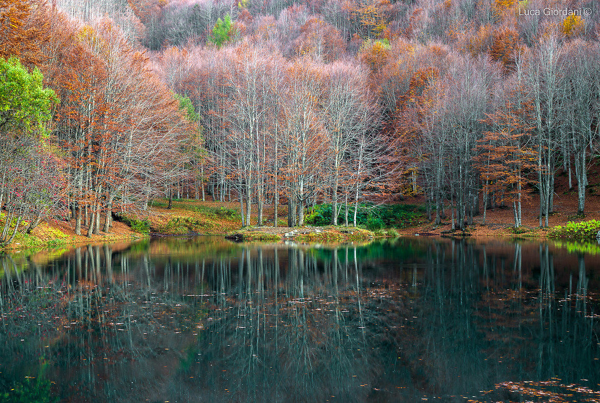 Quel che resta dell'autunno