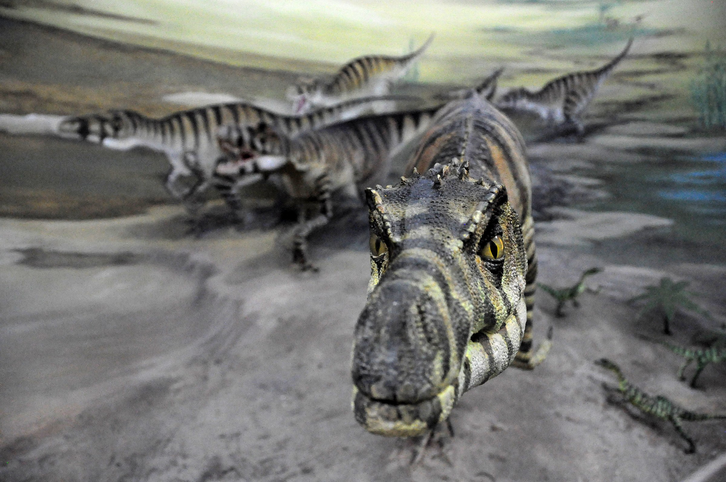 A night at the museum ...