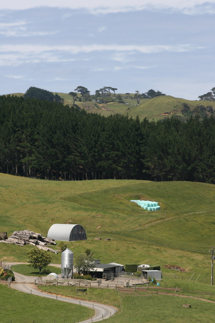 New Zealand Manukau Heads Lighthouse
