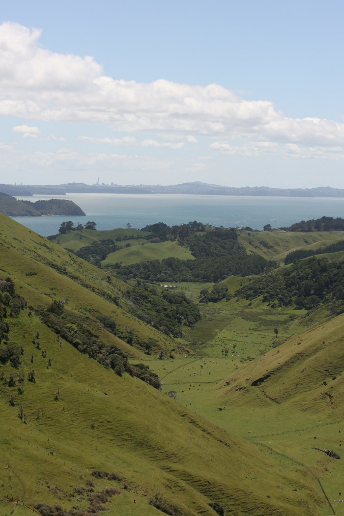 Nuova Zelanda Manukau Heads Lighthouse