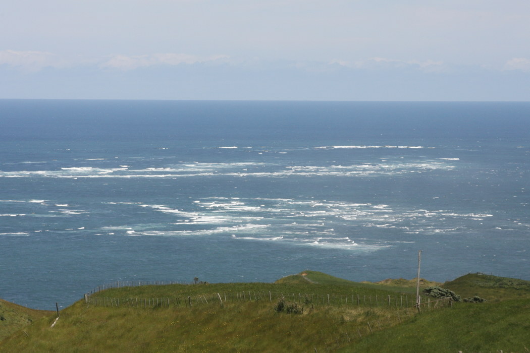 New Zealand Manukau Heads Lighthouse
