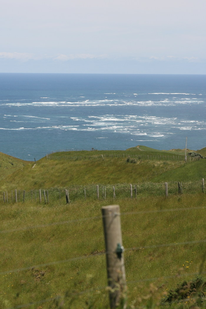 Nuova Zelanda Manukau Heads Lighthouse