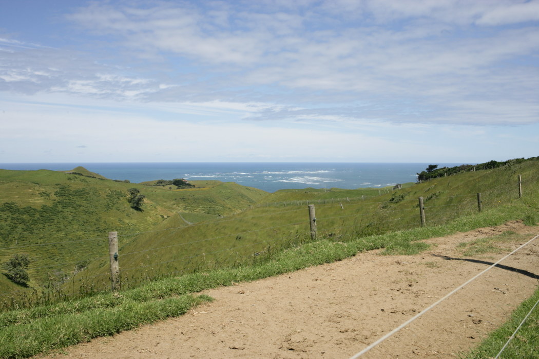 Nuova Zelanda Manukau Heads Lighthouse
