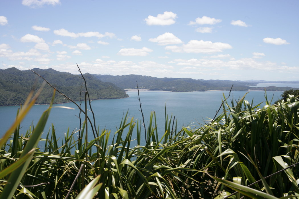 Nuova Zelanda Manukau Heads Lighthouse