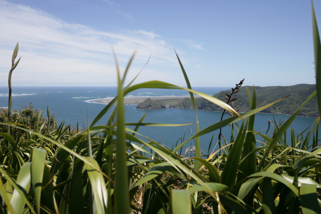 Nuova Zelanda Manukau Heads Lighthouse
