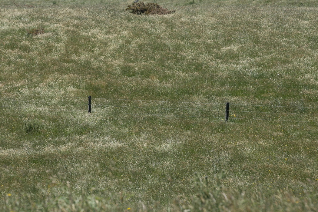 Nuova Zelanda Manukau Heads Lighthouse
