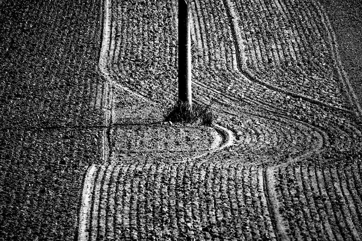 the 'harmony of line