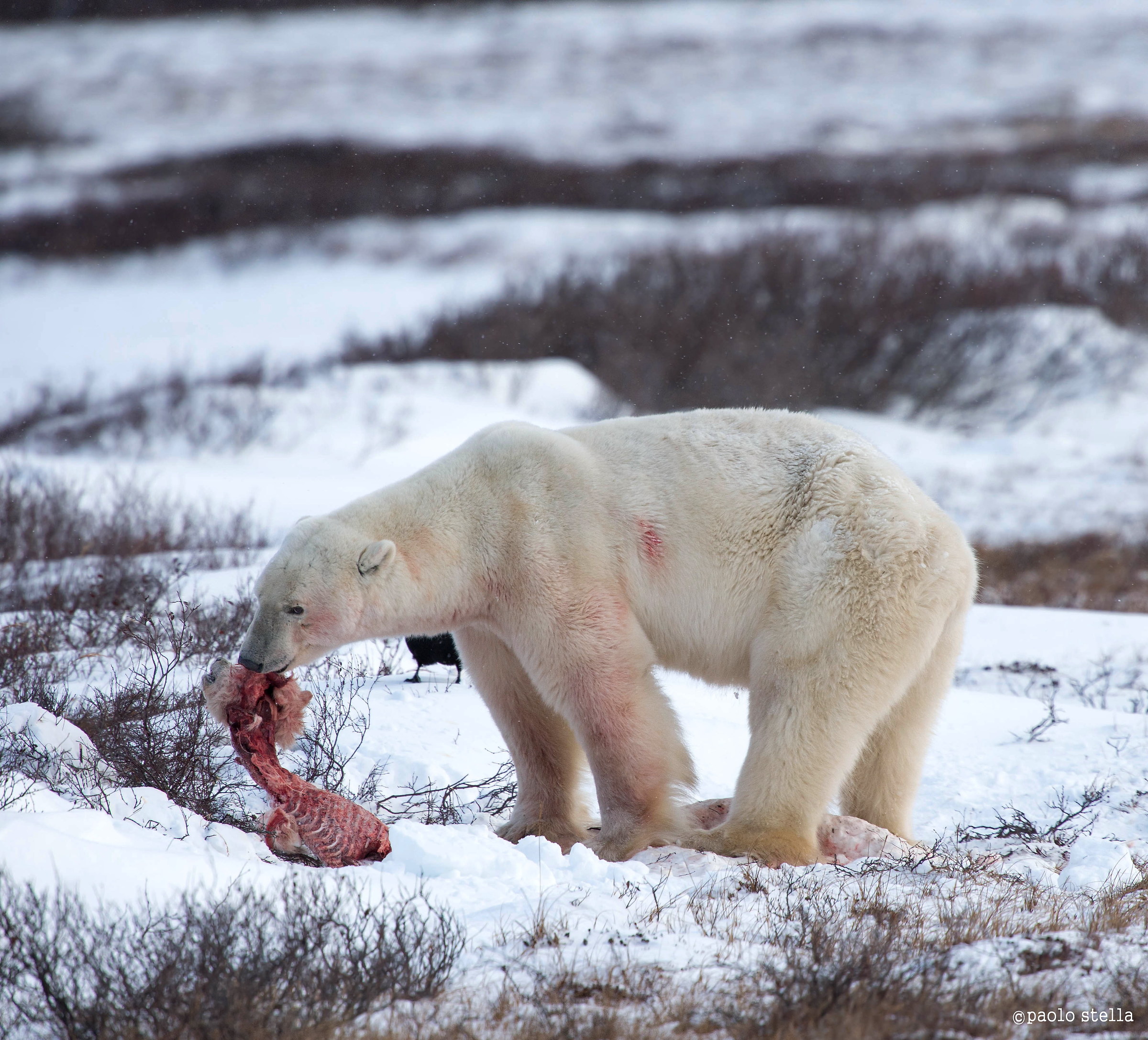 Il Conte Ugolino - 3