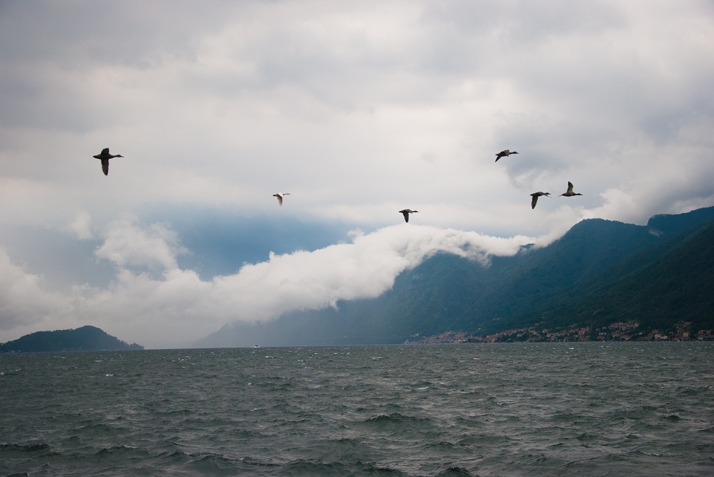 Escape from the temporal