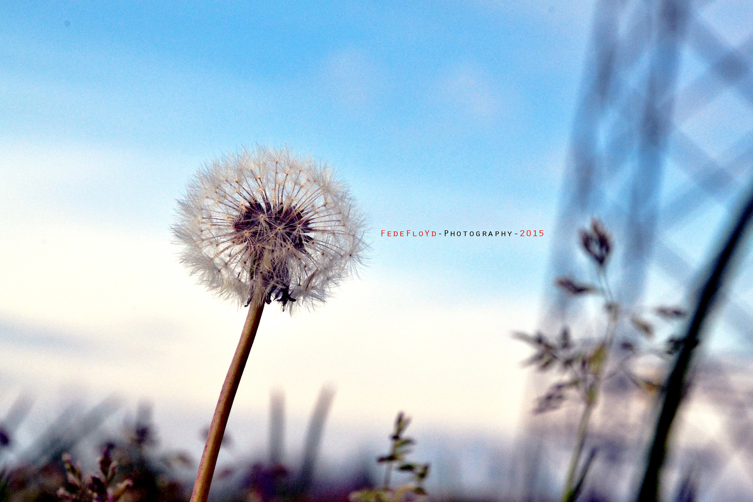 Straight lines and curved