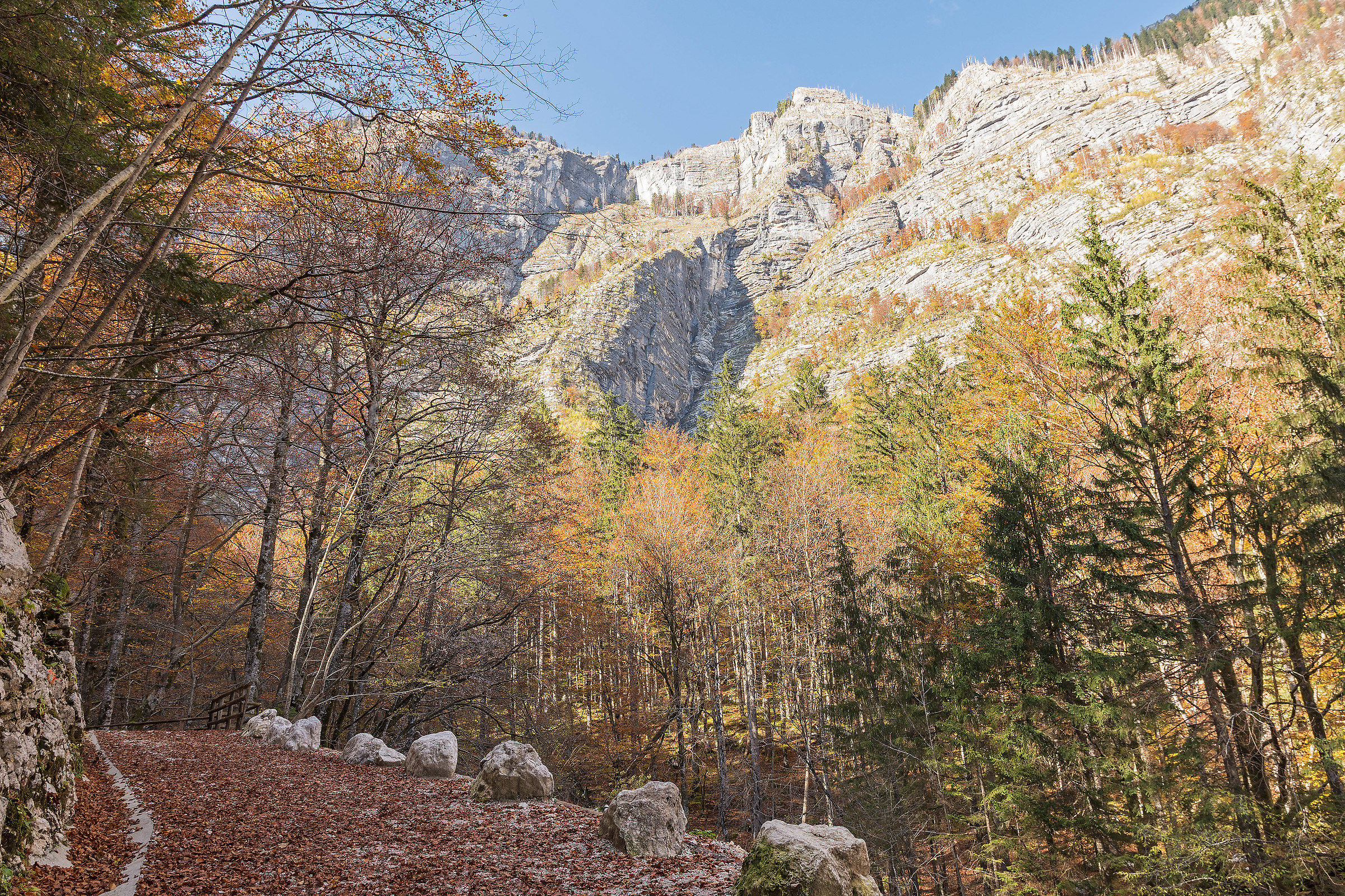 Bohinj
