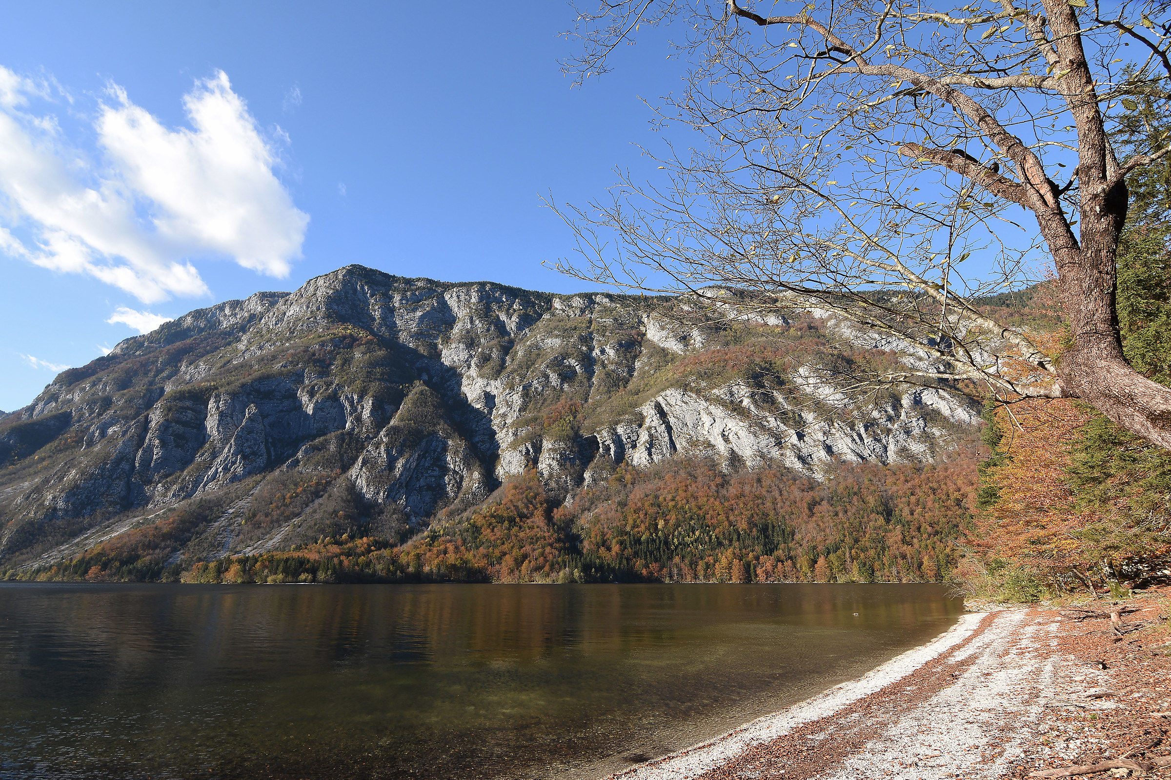 Bohinj