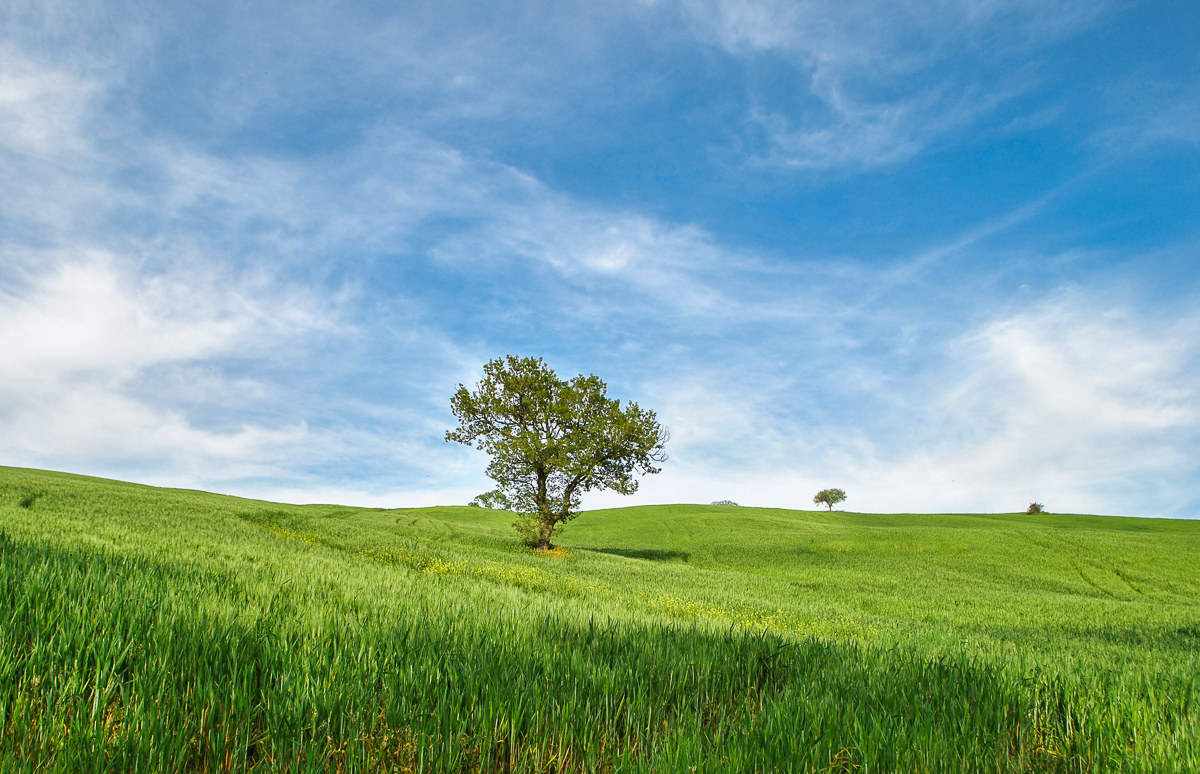 La mia terra: l'Irpinia