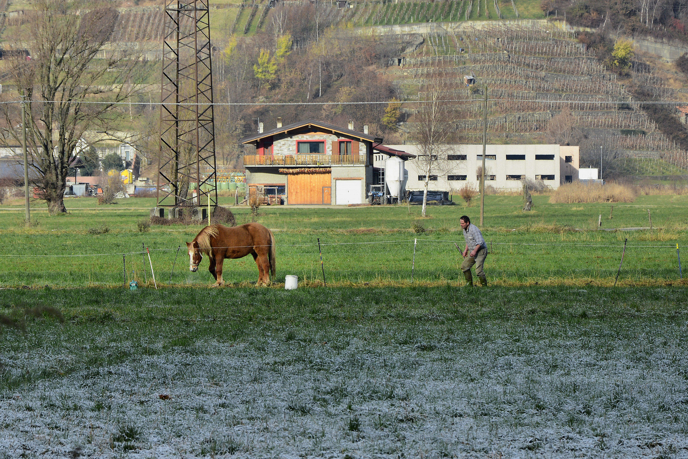 "Perché te' me fa sempri rabì?"