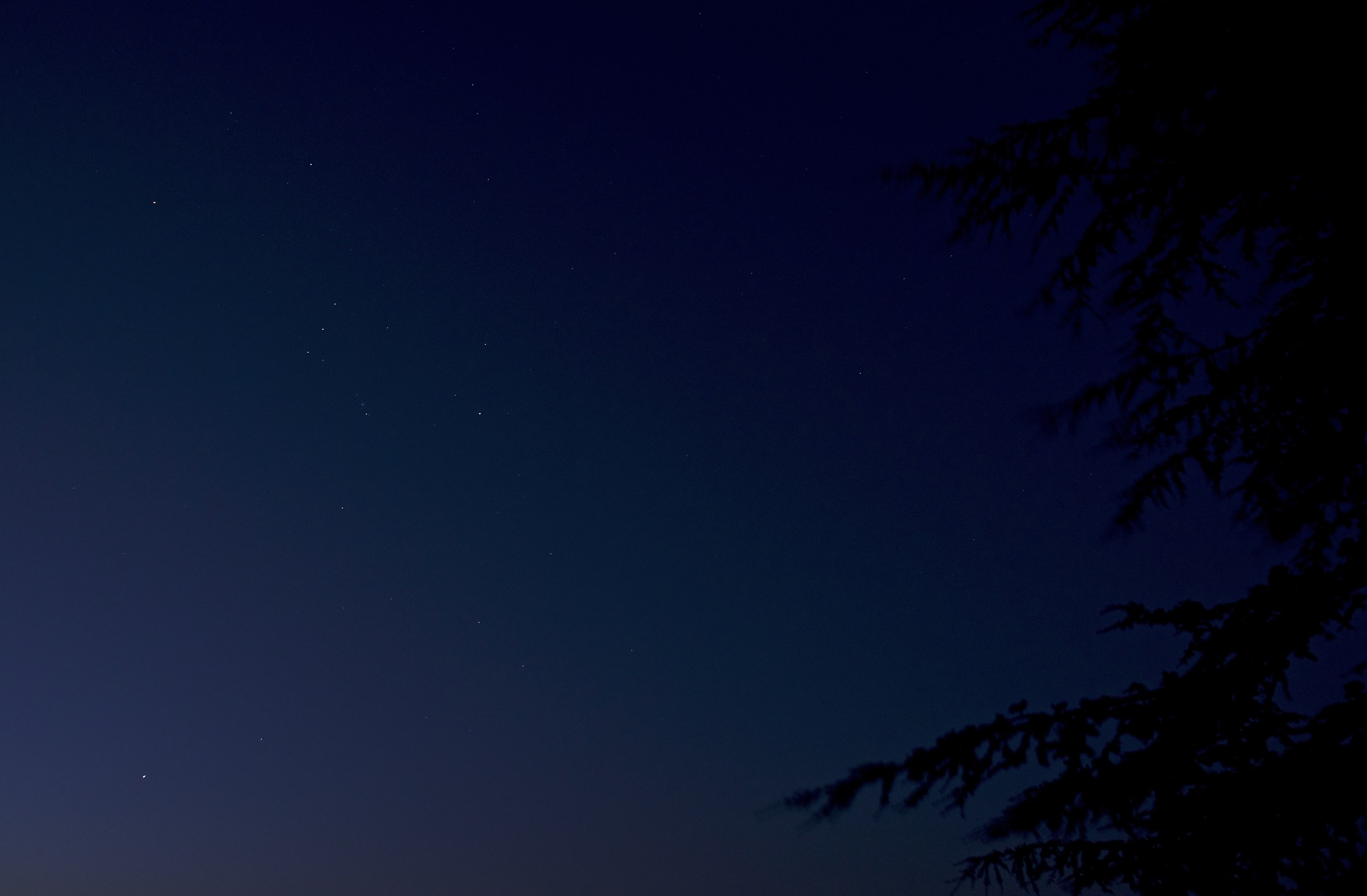 Orion just before dawn (August)