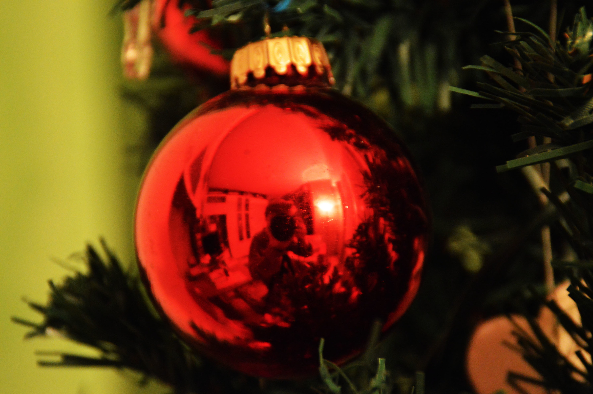 self-portrait in christmas ball