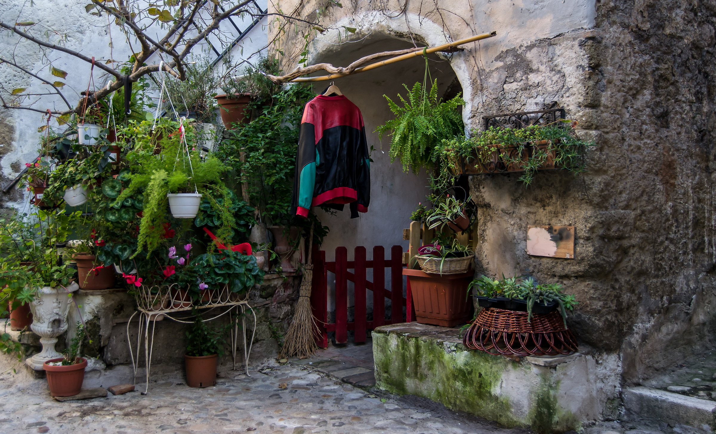 Plants and jackets .......