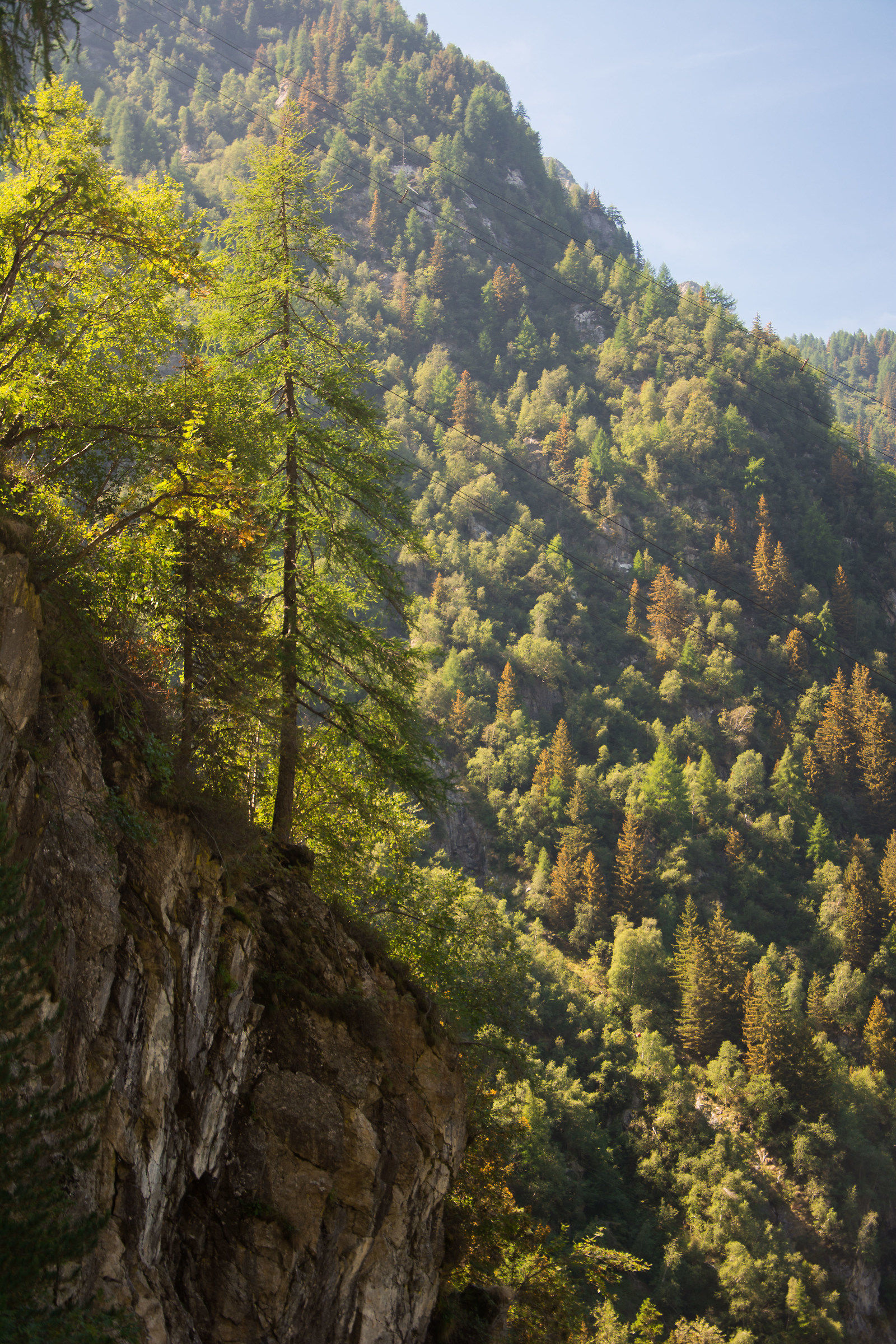 Sull'orlo del precipizio