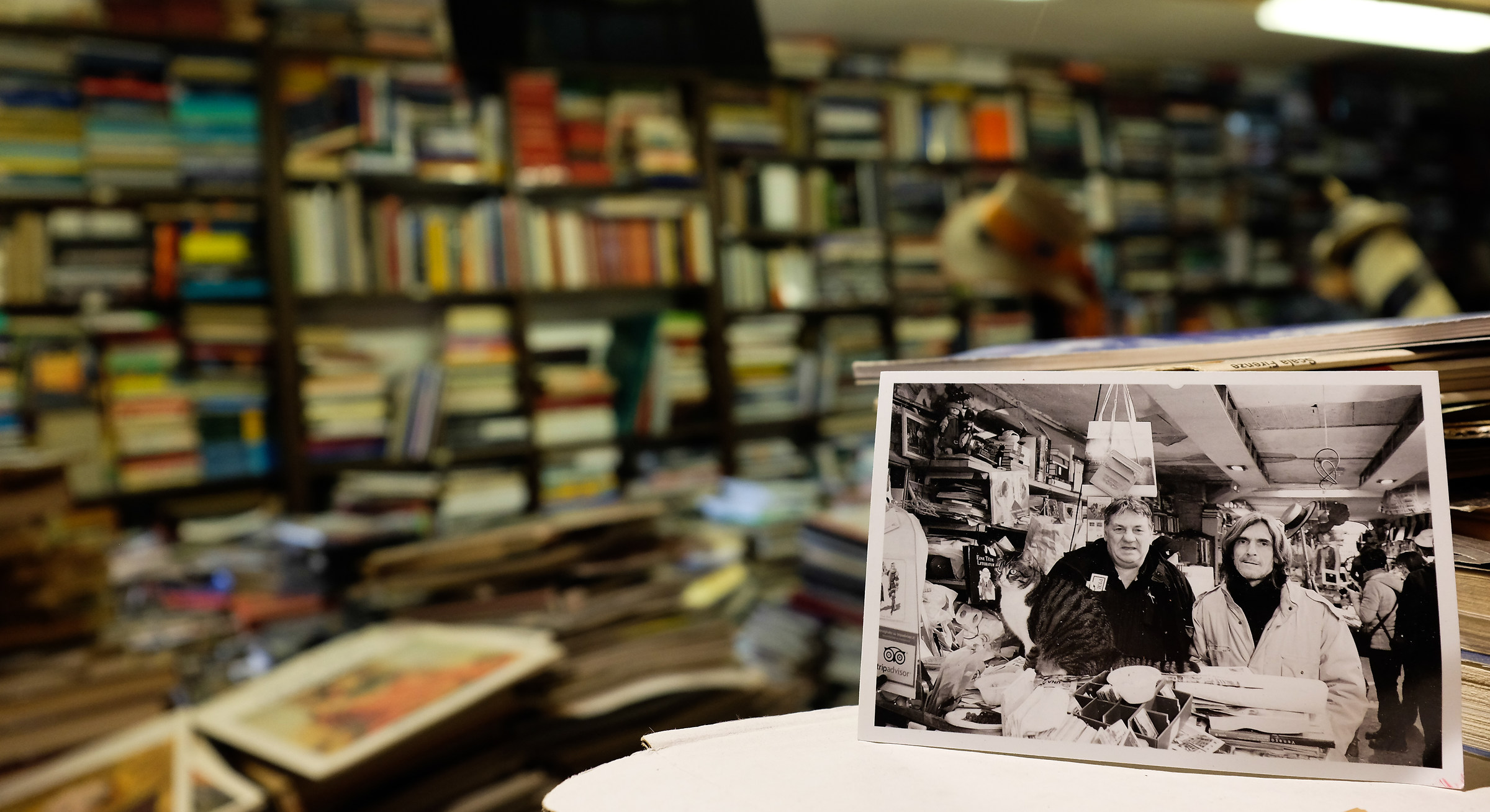 bookstore owners high water