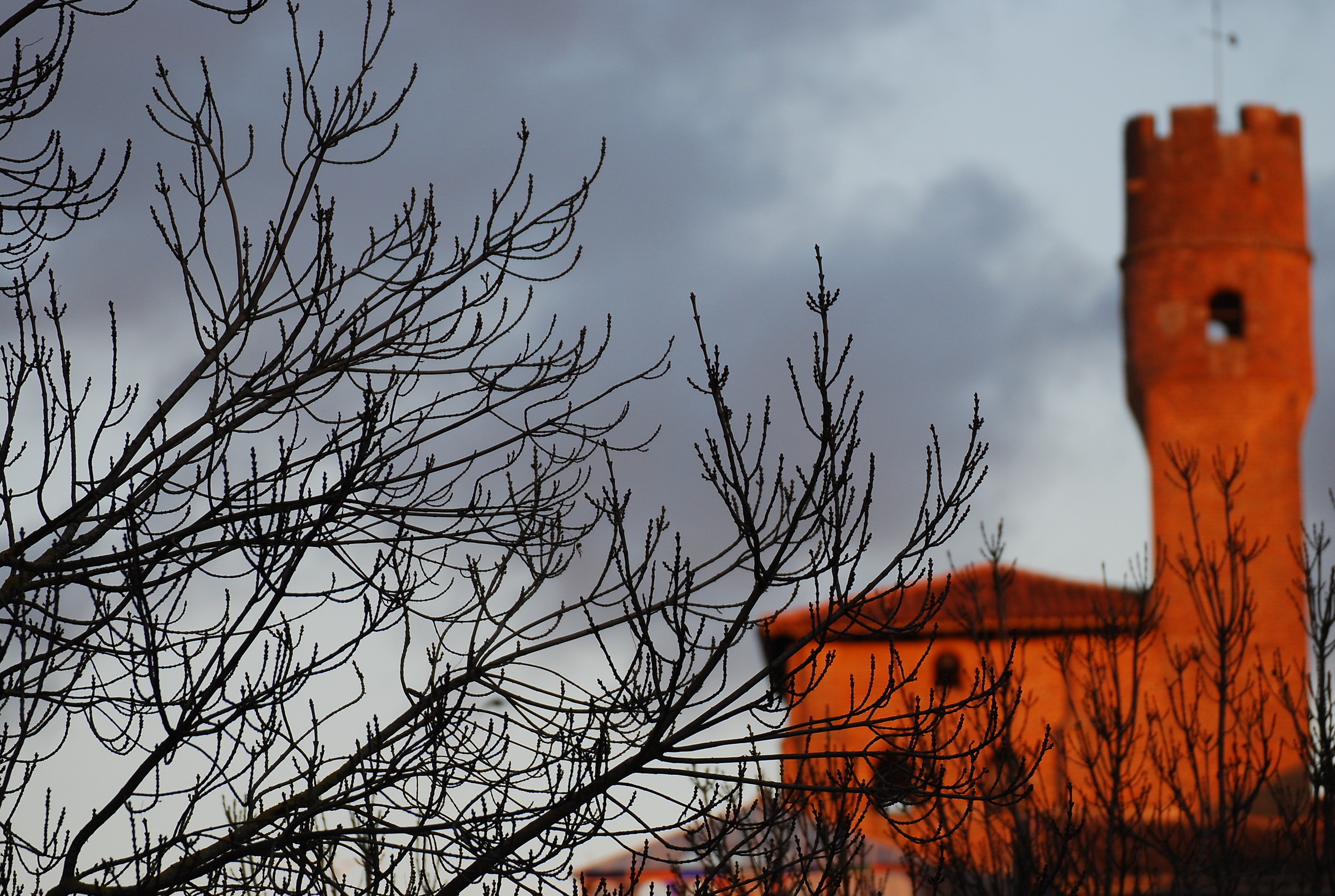 colori di Albi (Francia)