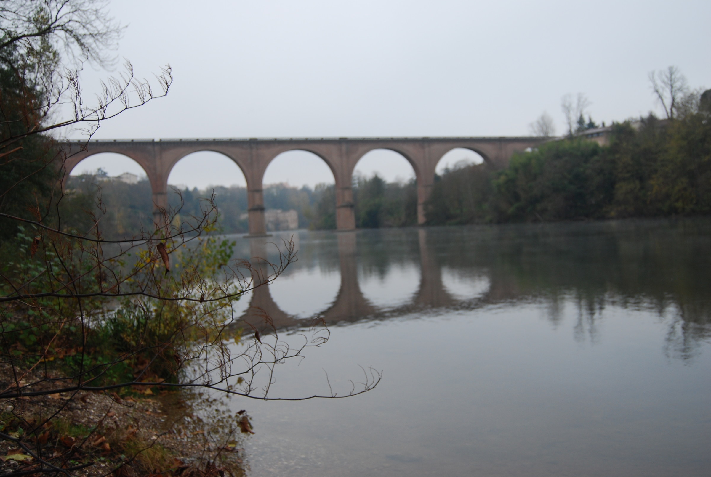 il ponte sul Tarn (Francia )