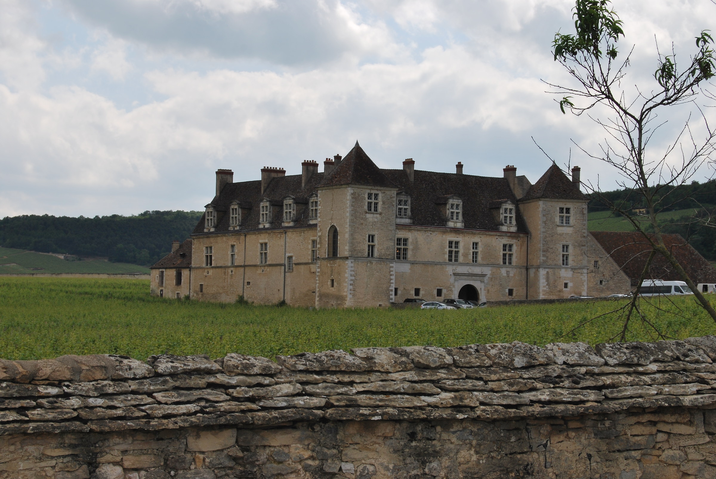 Borgogna amore mio...  (Cote de Nuit - Francia)