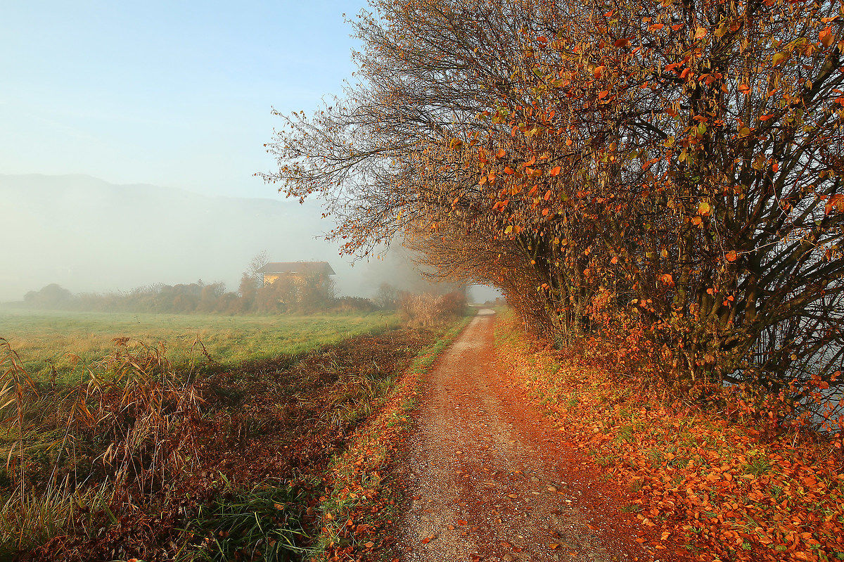 The Undiscovered Country