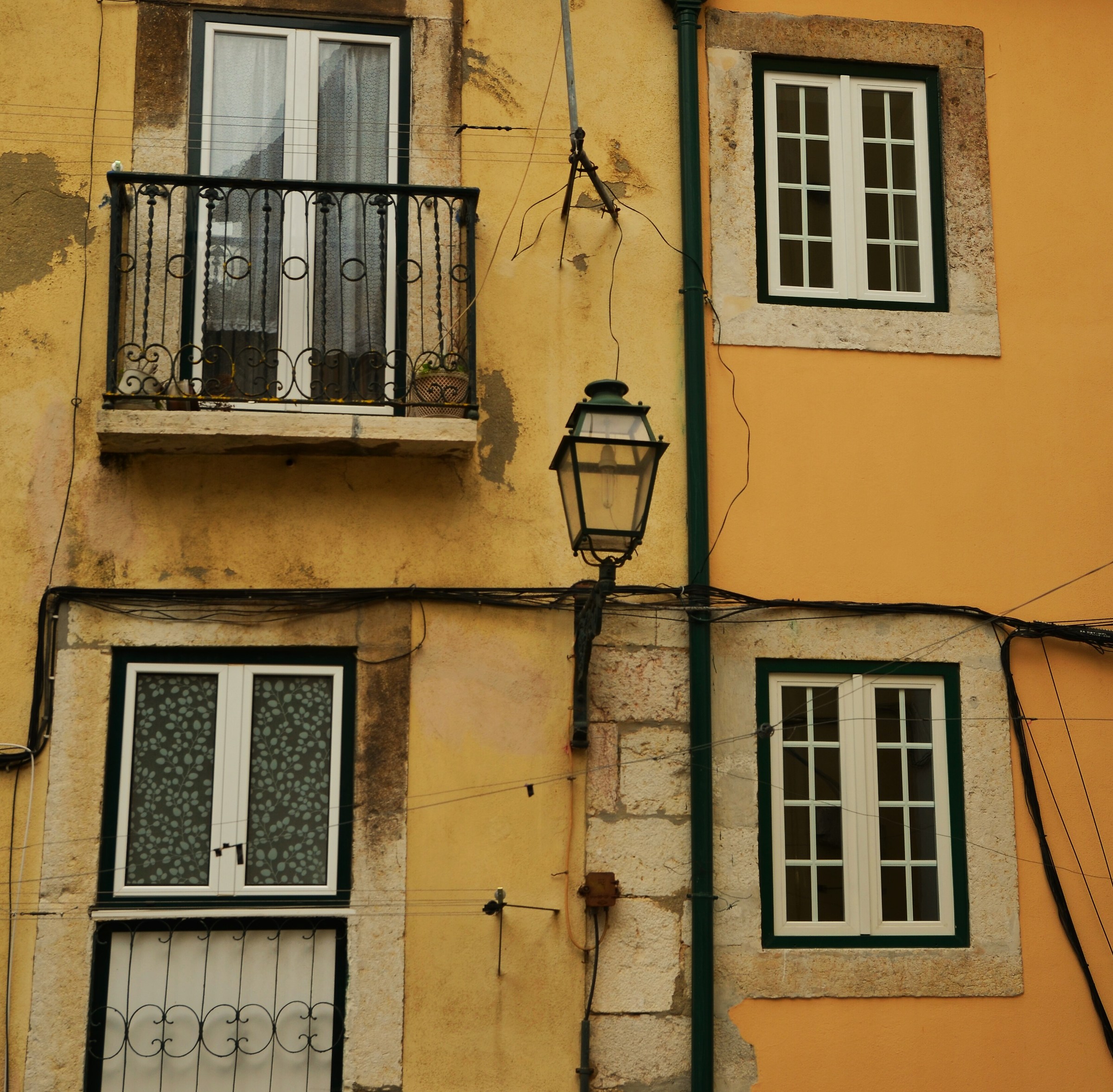 Geometrie e ragnatele