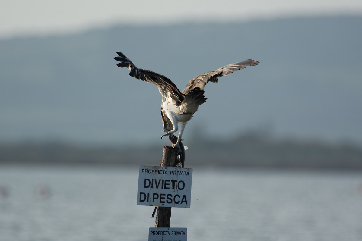 You make me lose balance!