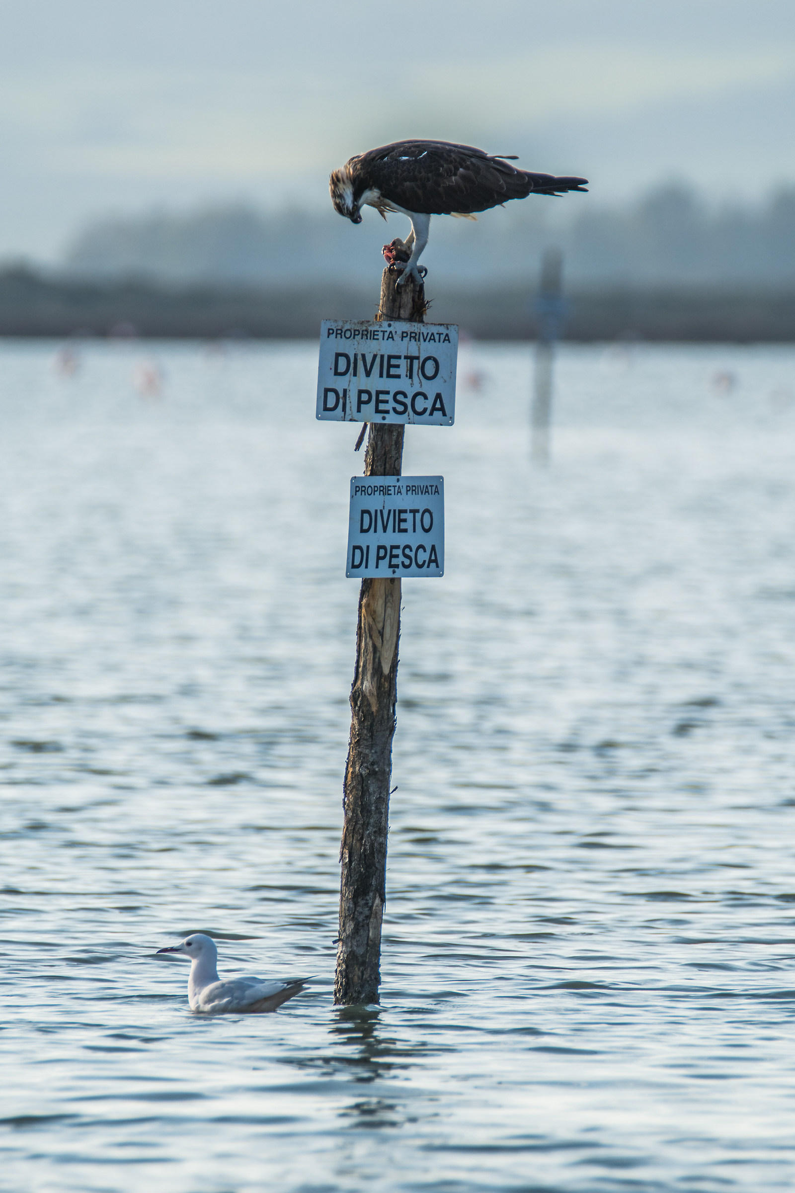 Here's the Worst That!