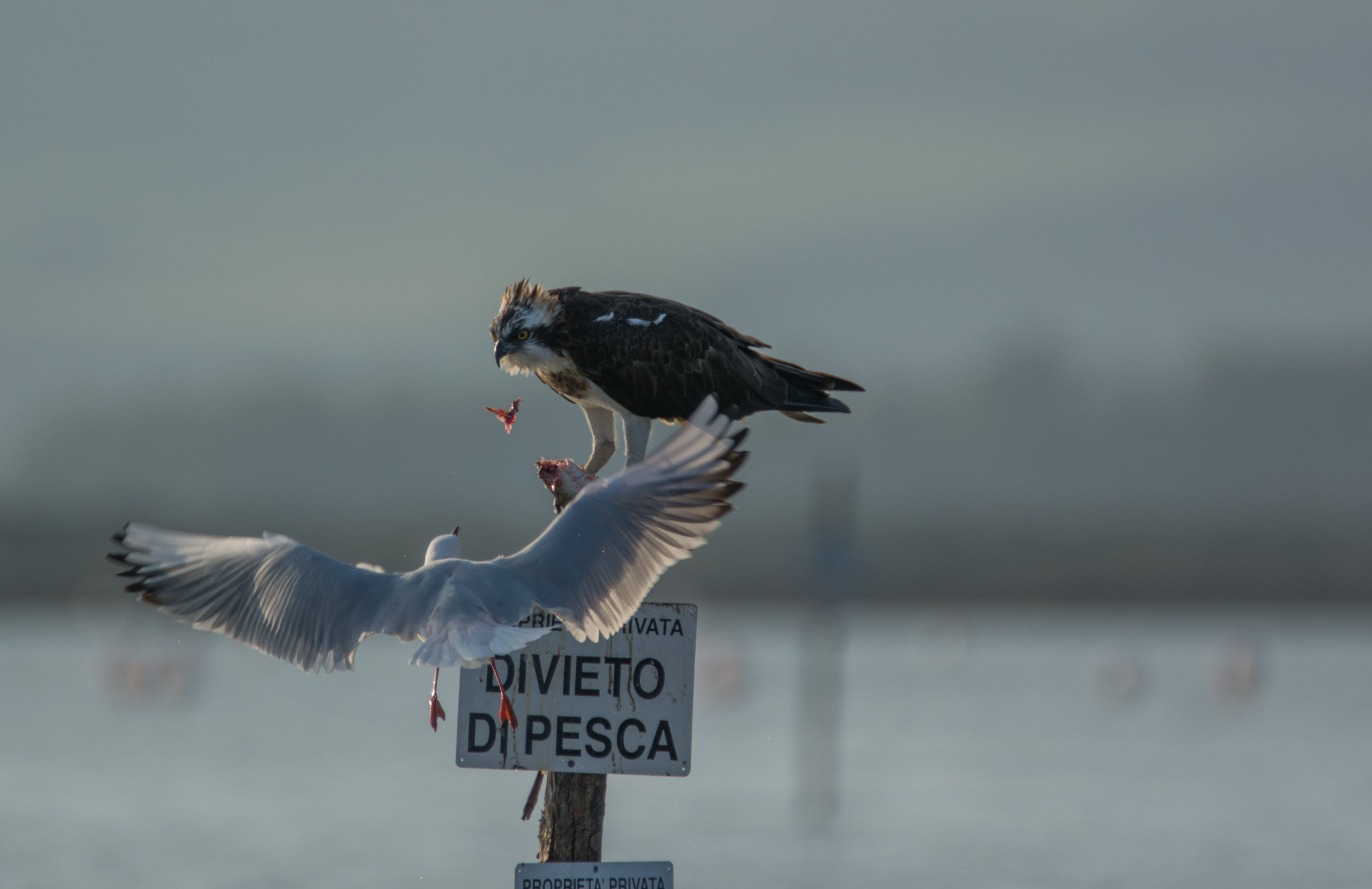 Just got a piece and get out!