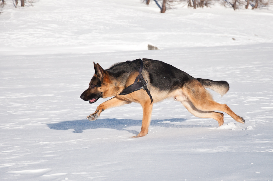 Ares on the frozen lake