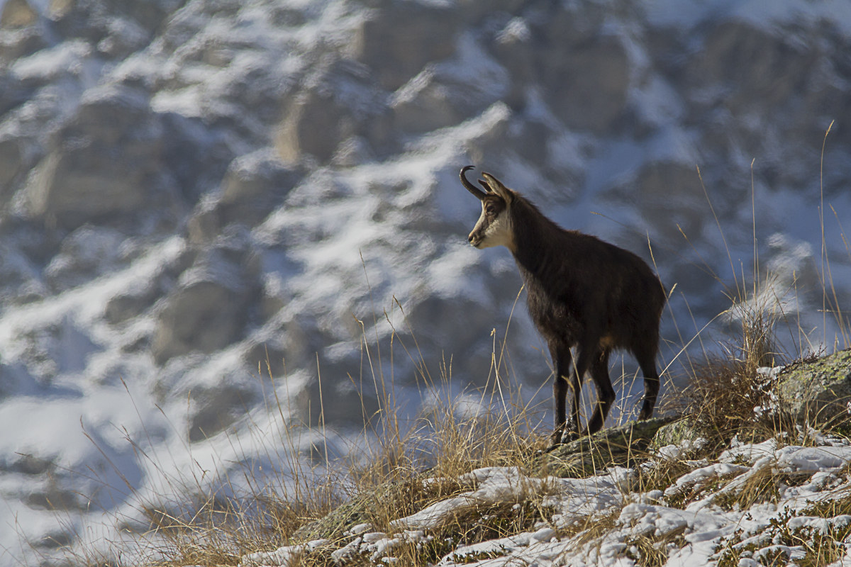 ready for the winter