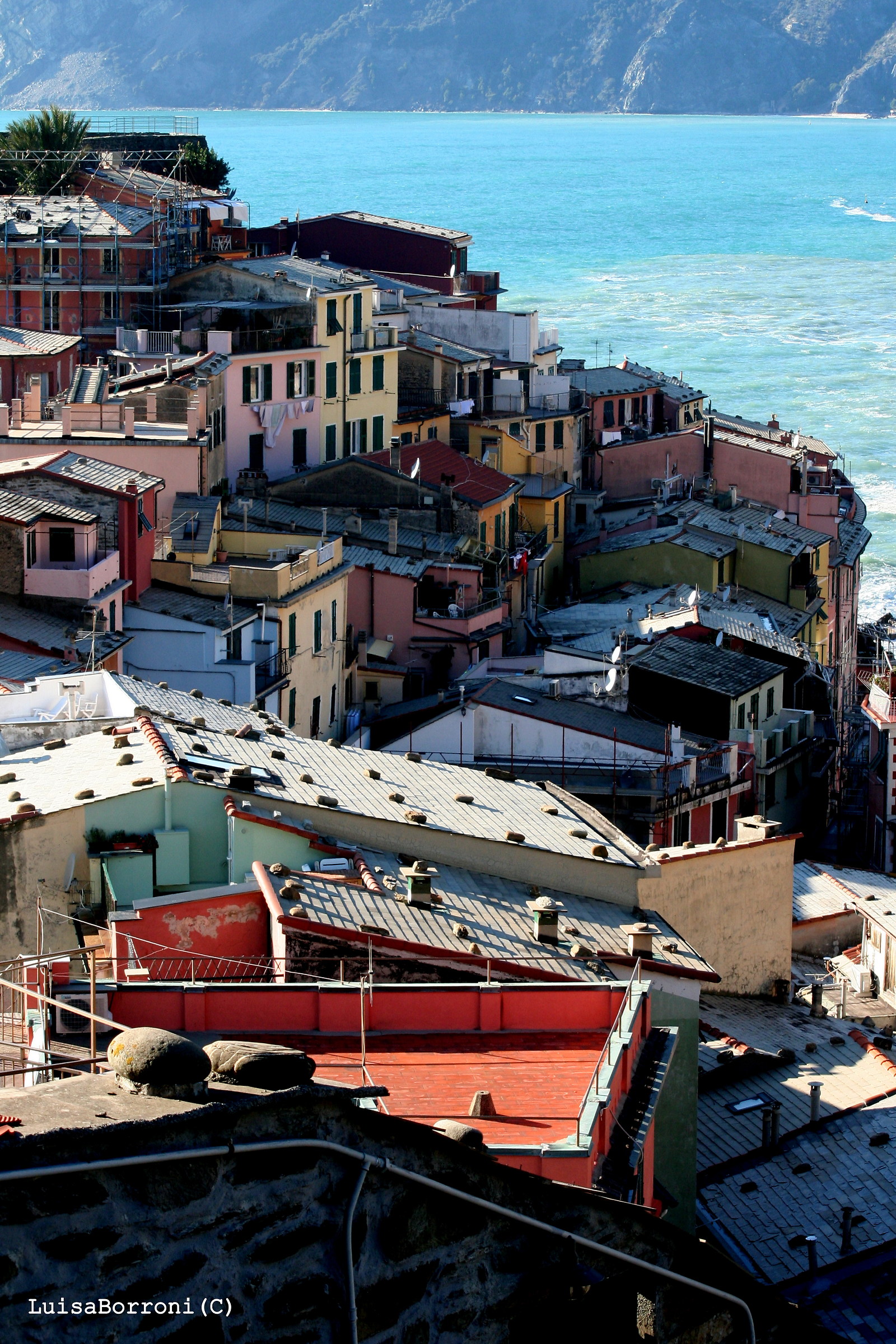 the roofs of Vernazza