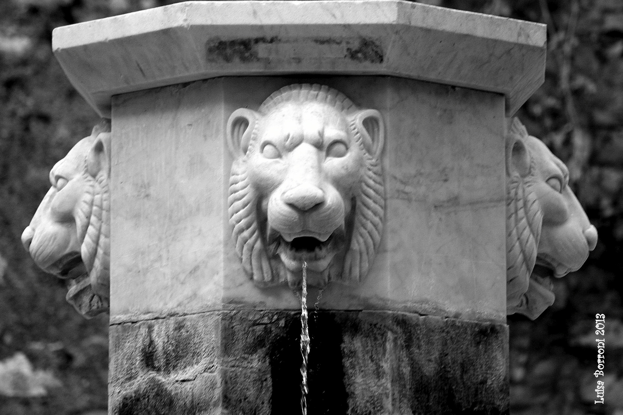 The fountain on the way Capellini in Old Town