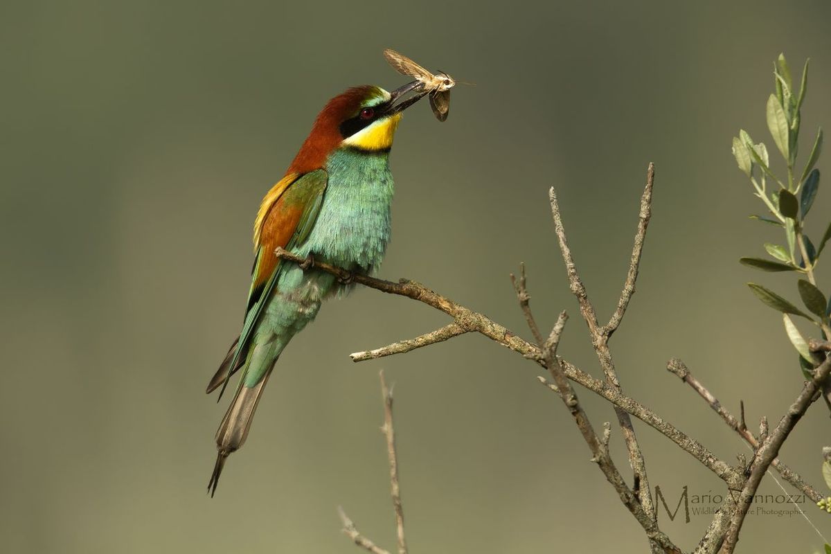 I took it ... it's over ..