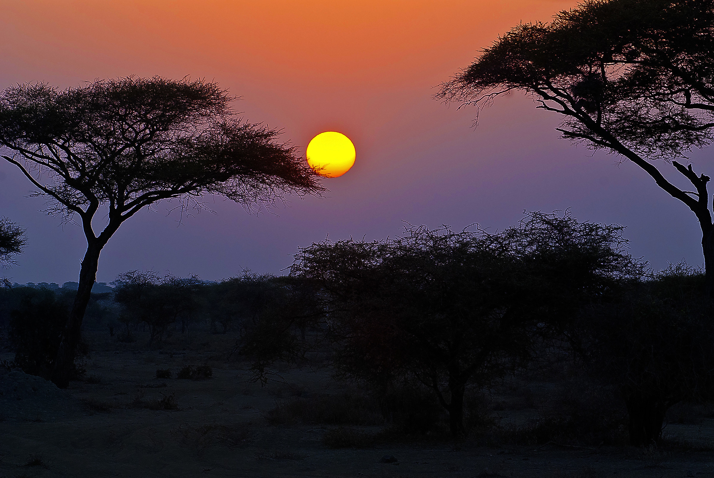 Sunrise in Synia Reserve -Tanzania