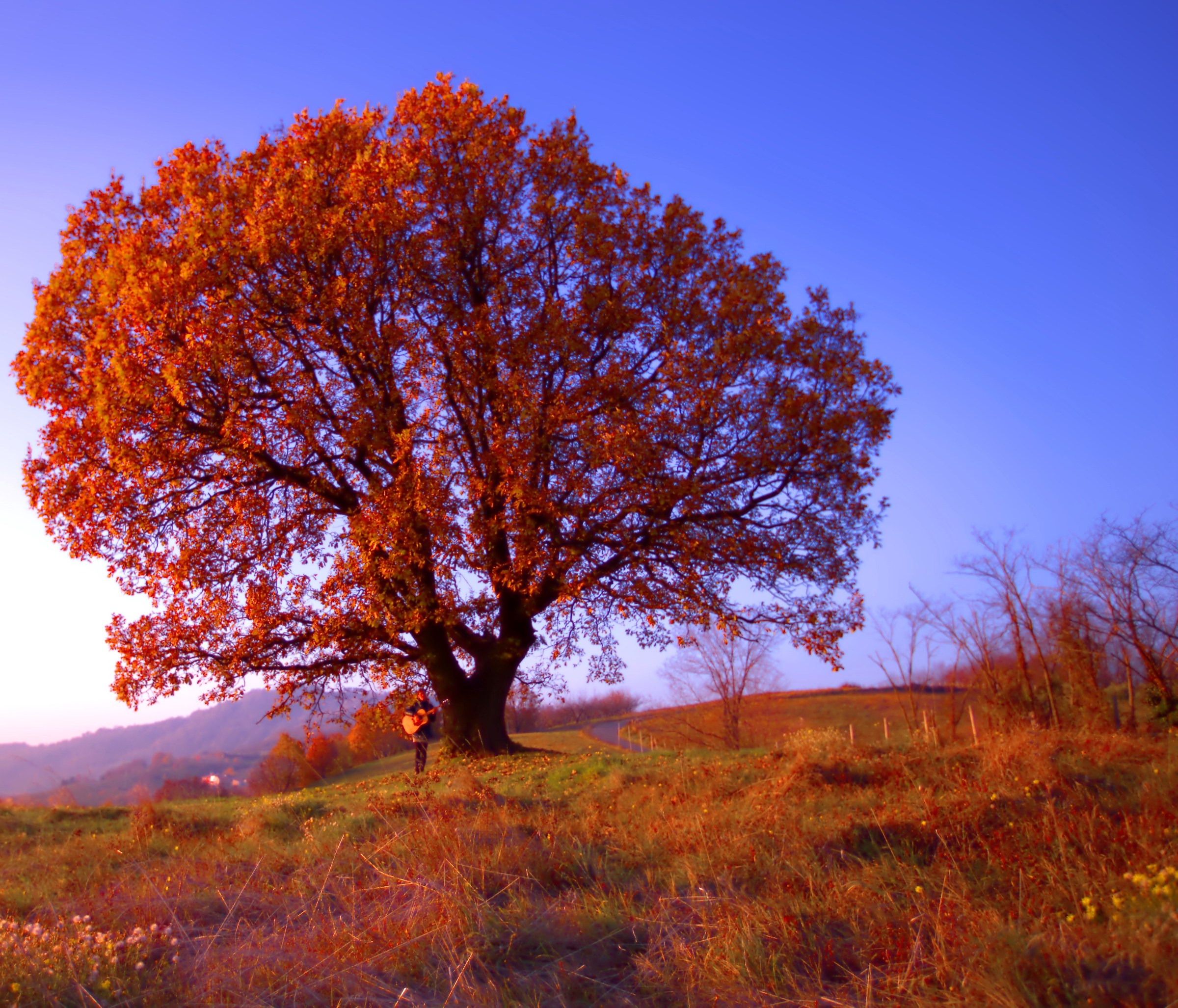 the giant and the girl !!
