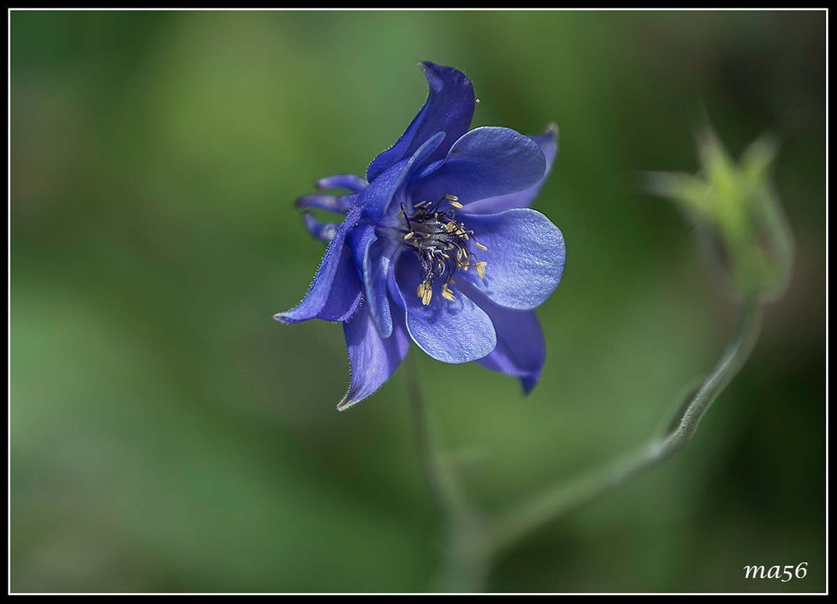 Rifugio Scalorbi, Lessinia.  Nostalgia
