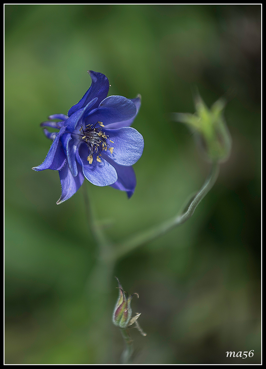 Rifugio Scalorbi, Lessinia.  Nostalgia