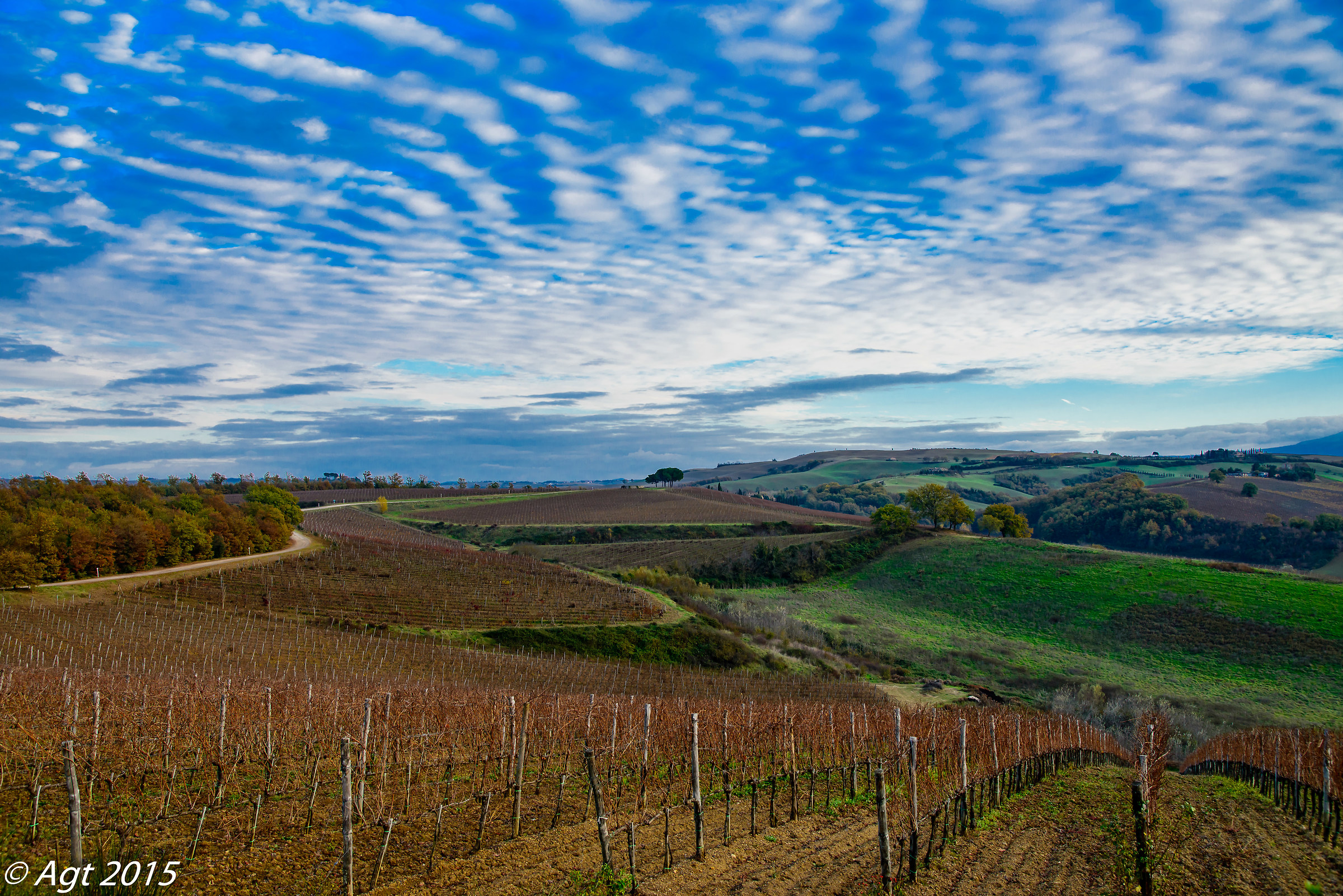 Le colline del Brunello