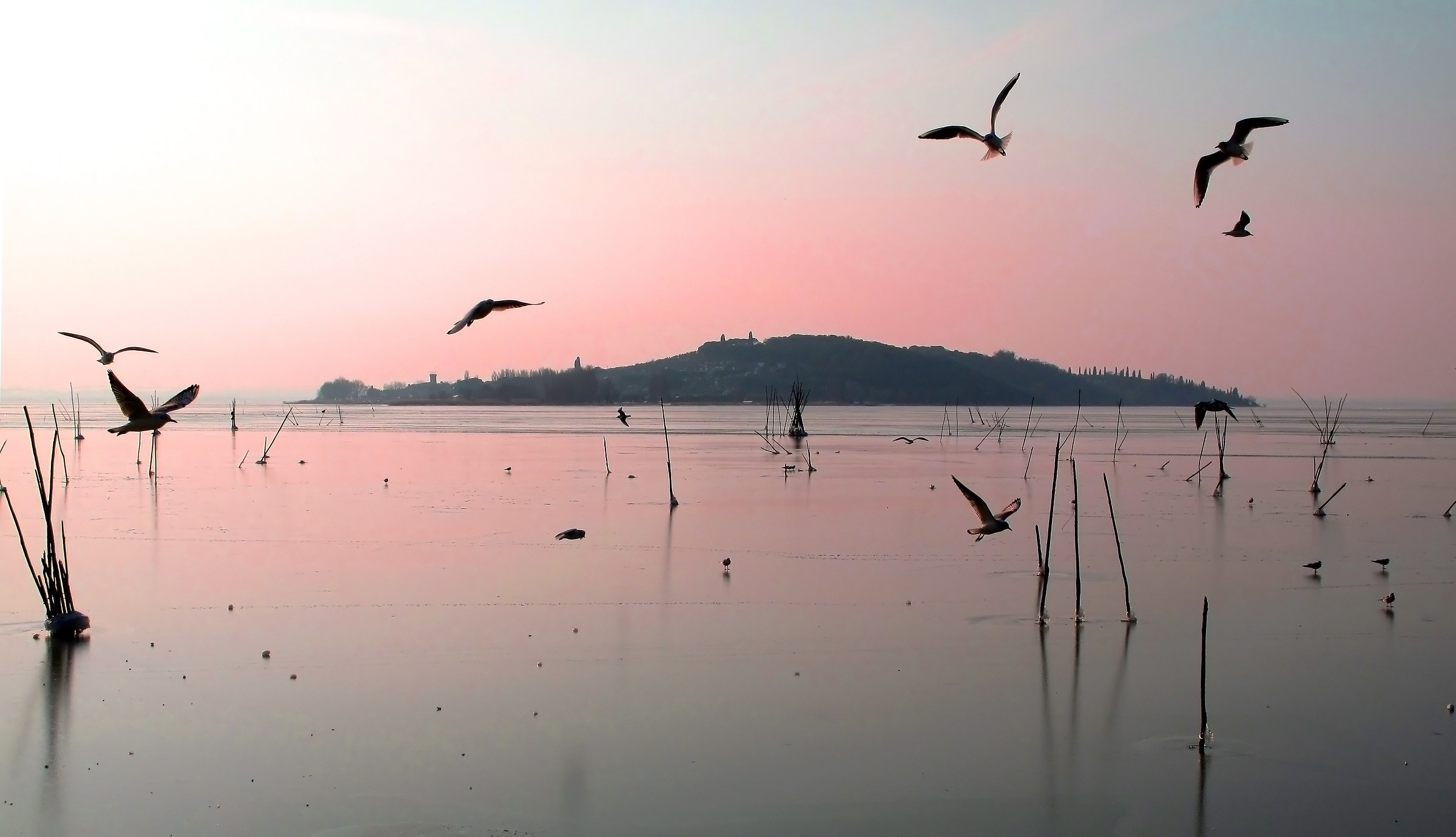 Trasimeno frozen