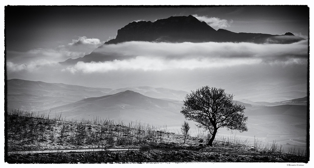 Panorama visto dal sito Archeologico Jato Palermo