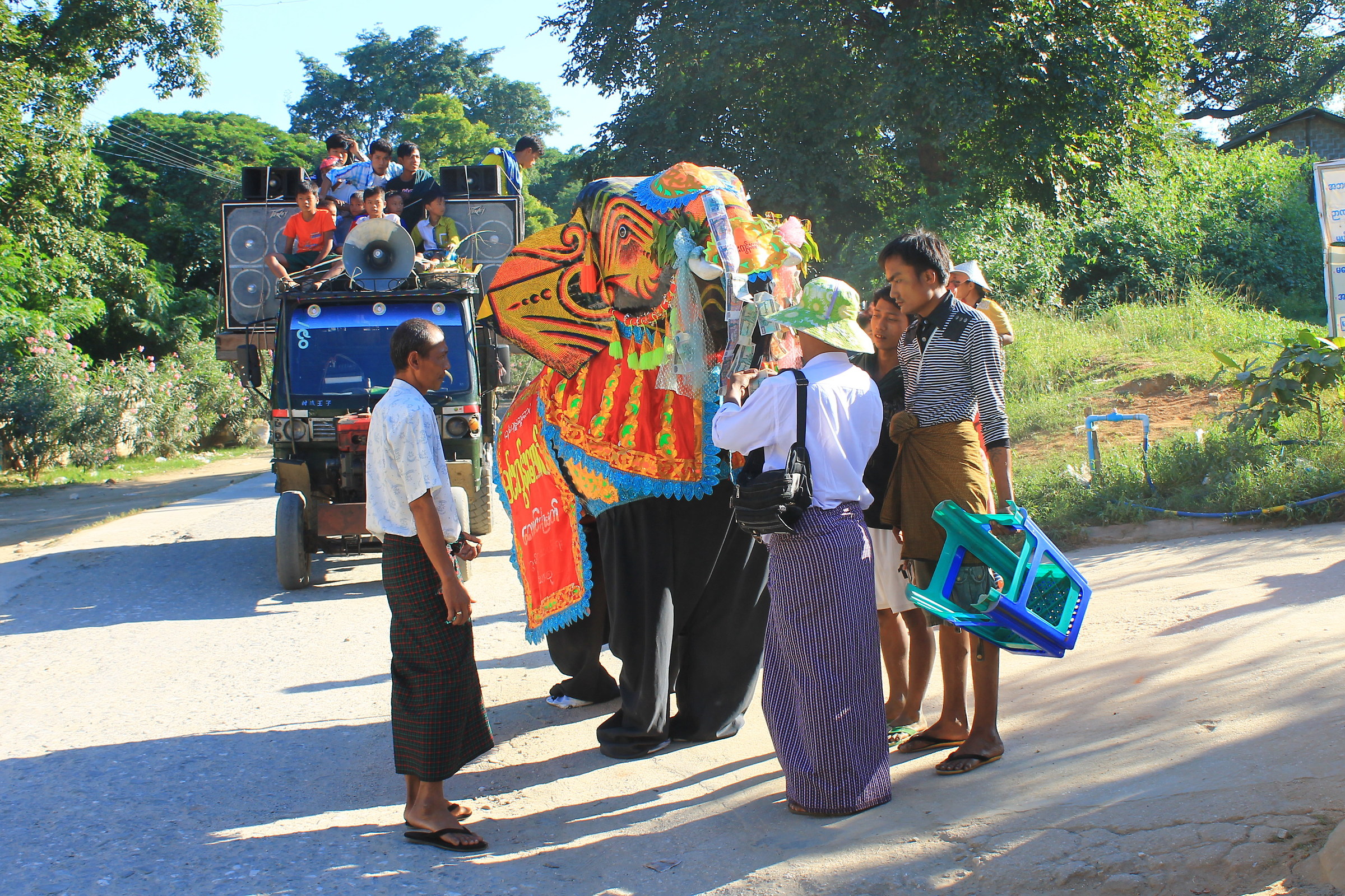 Disguised as elephant