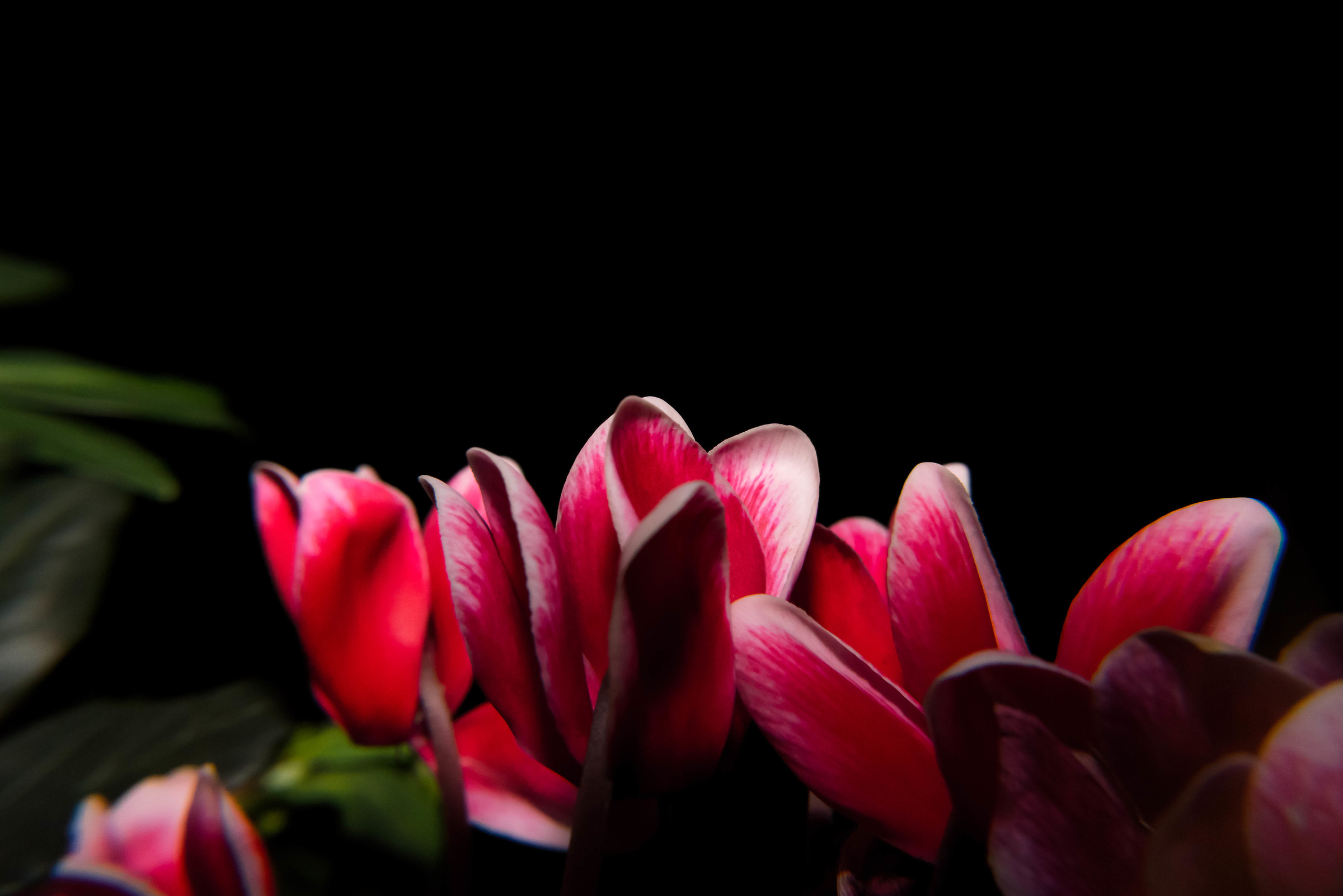 Color in darkness taking