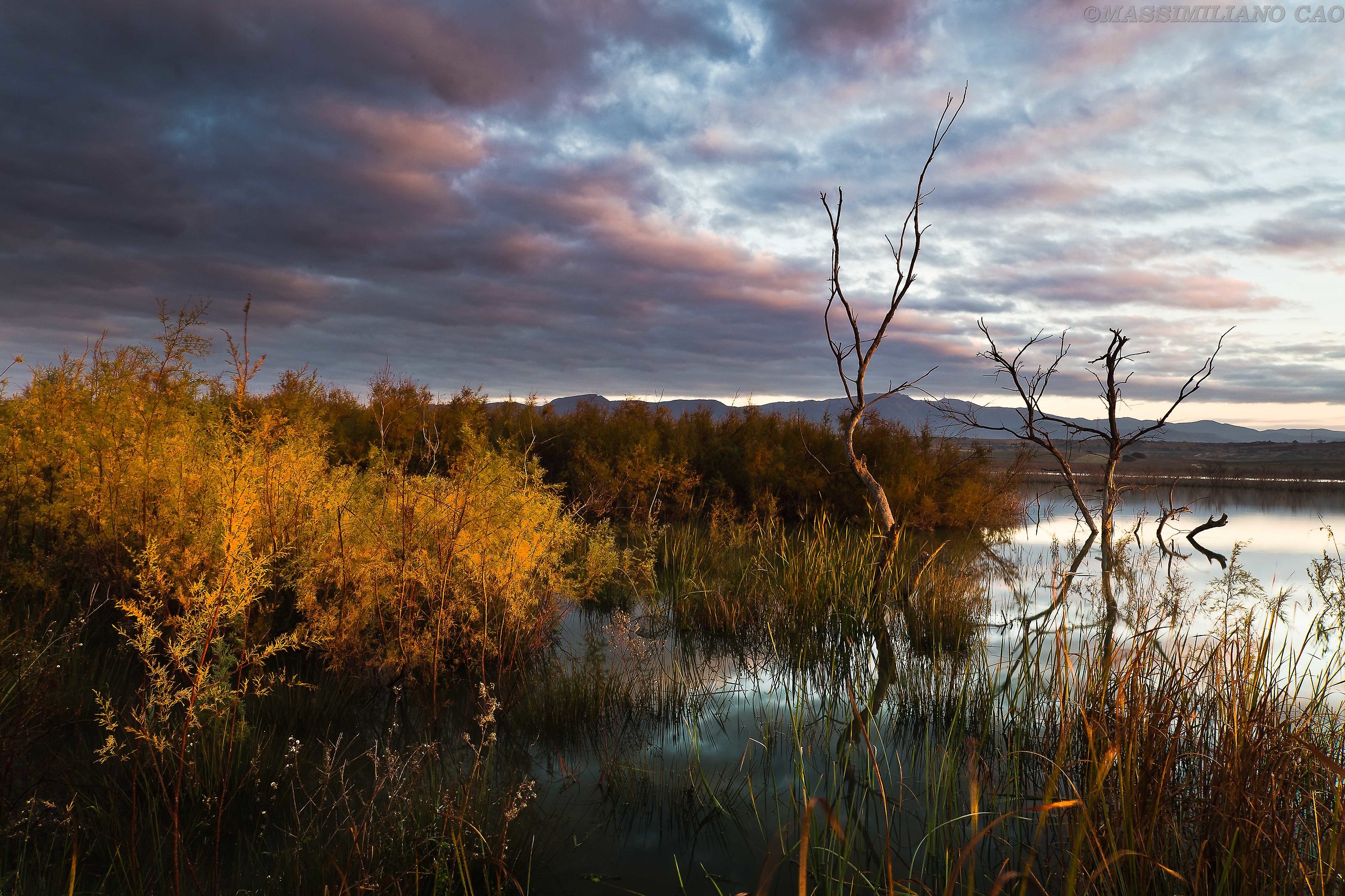 Trying to reach the sky