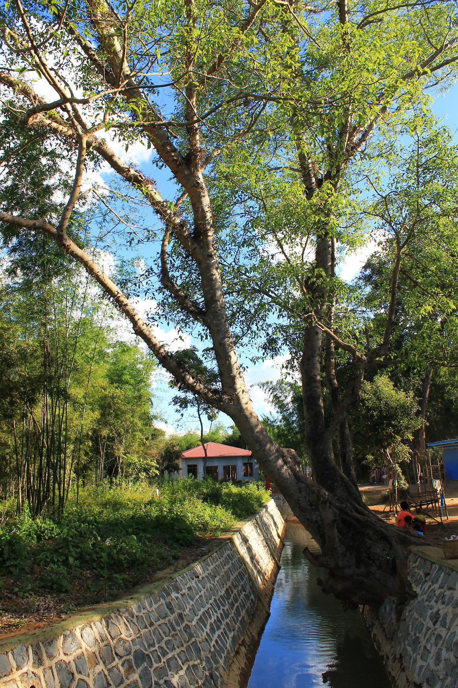 Poised on the channel