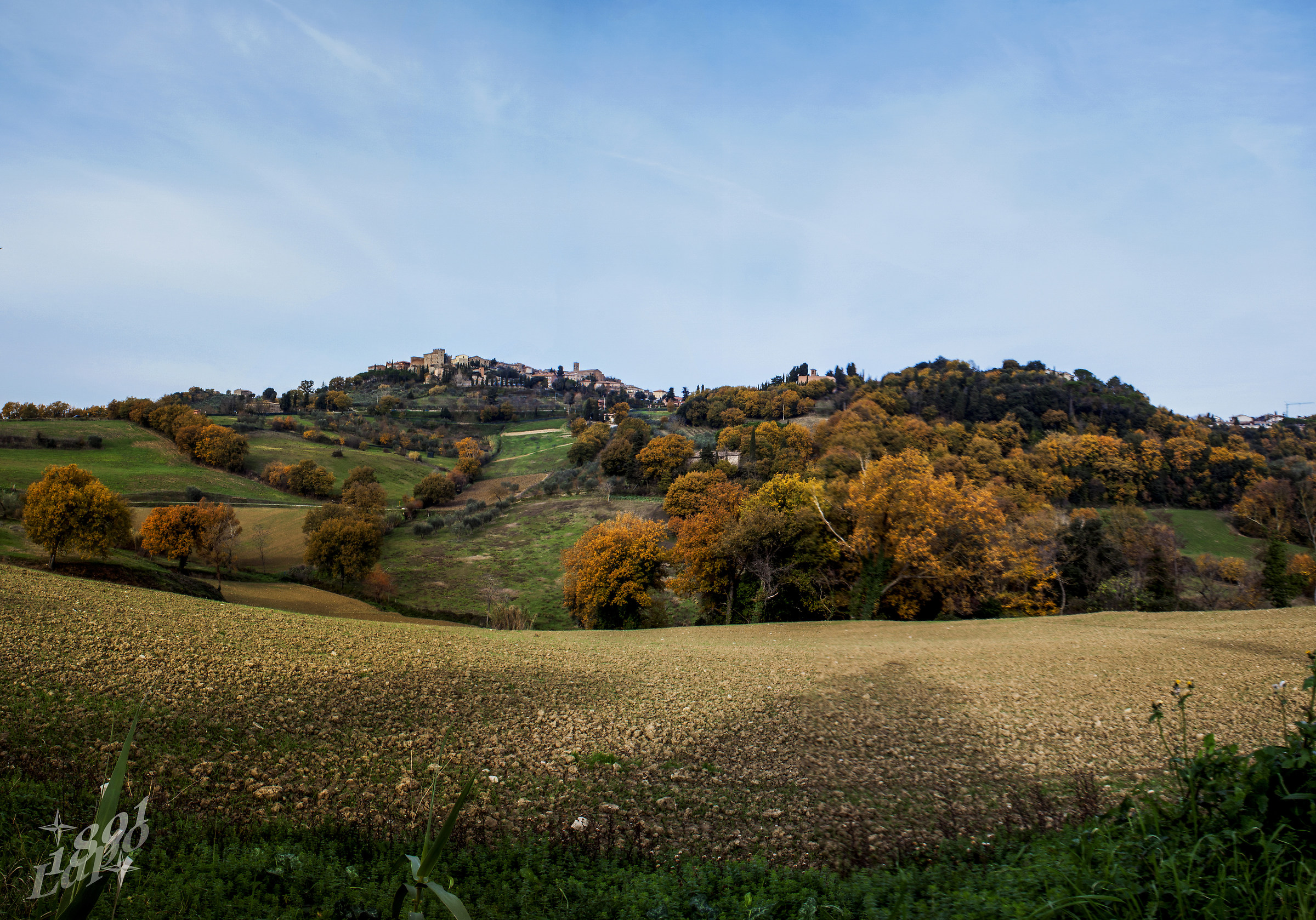 Card Casore D'Elsa (SI)