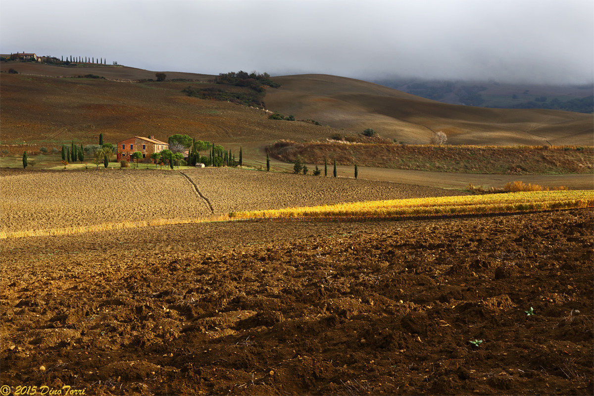 Camminando..(in val d'Orcia)