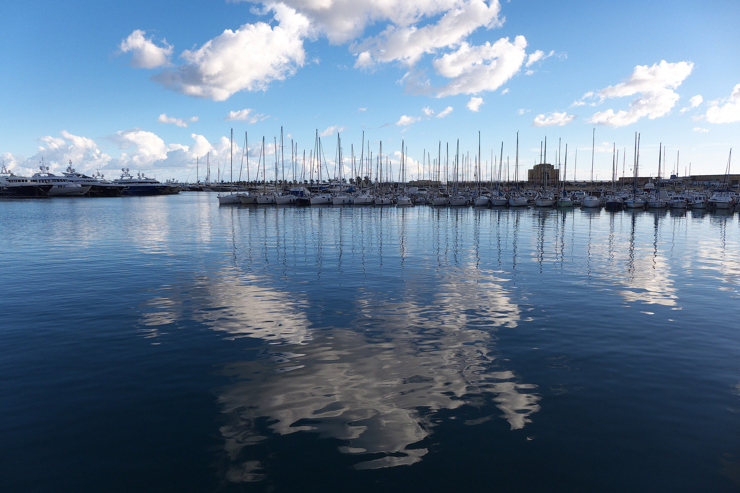 clouds, trees and reflections